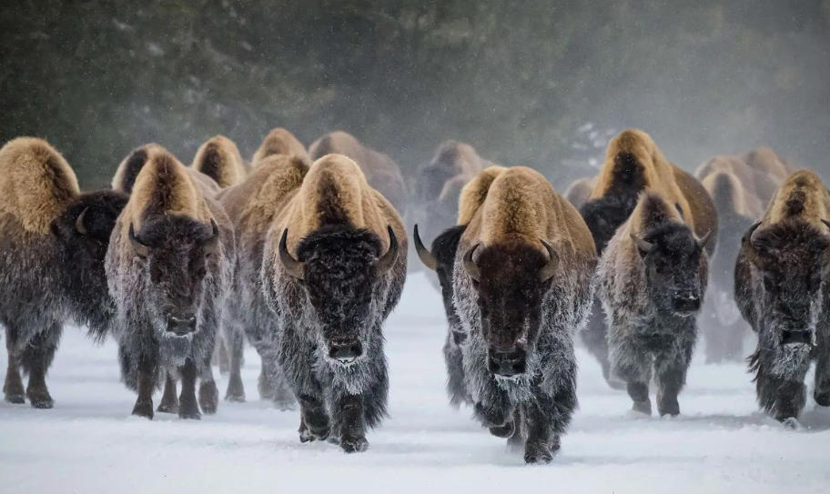 福州欣景园环境设备有限公司轮播图5